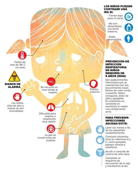 Enfermedades Del Sistema Respiratorio Causas Sntomas Y