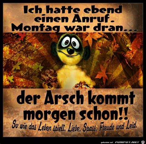 Weitere ideen zu lustig, lustige bilder, lustige sprüche. lustiges Bild 'Ich hatte einen Anruf.jpg'- Eine von 60157 ...