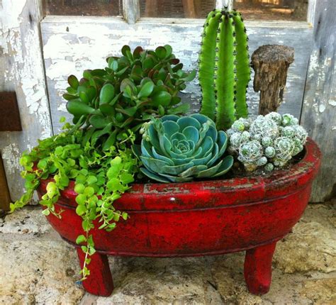 They have to bring the beauty into their home. Red wooden planter with cactus/succulents | Succulents ...