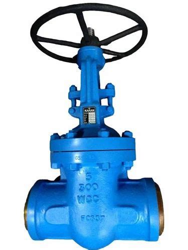 Globe Valve Cast Steel Globe Valve Manufacturer From Ahmedabad