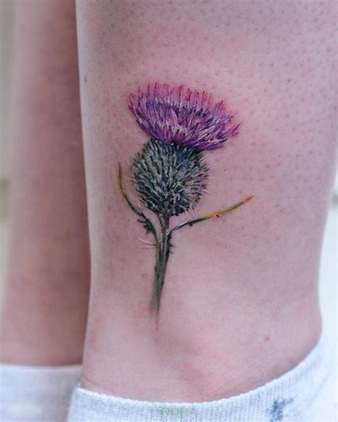 Top 65 Best Thistle Tattoo Ideas 2021 Inspiration Guide