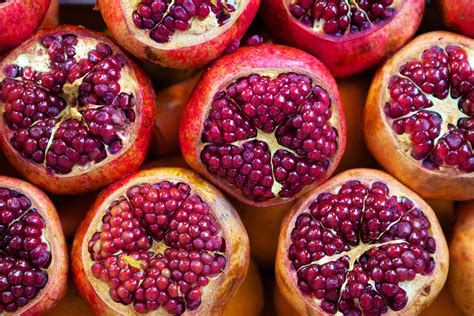 Pomegranate Description Cultivation And Facts Britannica