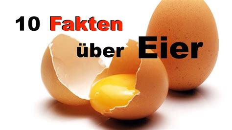 10 fakten über eier die ihr noch nicht wusstet youtube