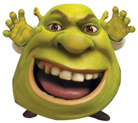 Pin by пãпēй гåвнå on пикчи которые тебе пригодятся Shrek funny Shrek Shrek memes