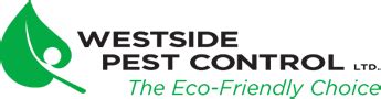 Atlas pest & wildlife control ltd. Carpenter Ant Control Vancouver BC | Westside Pest Control