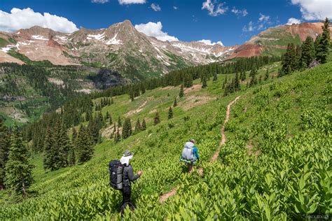 Maybe you would like to learn more about one of these? Summer Green in the San Juans, Colorado - July 2019 ...