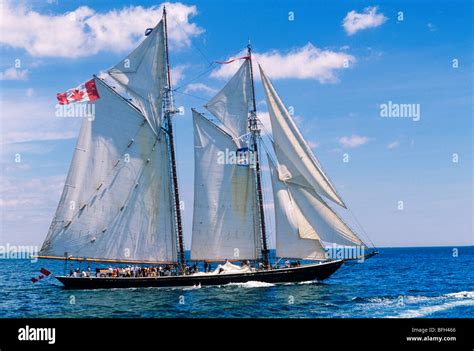 The Bluenose Sailing In Halifax Harbour Nova Scotia Canada Stock