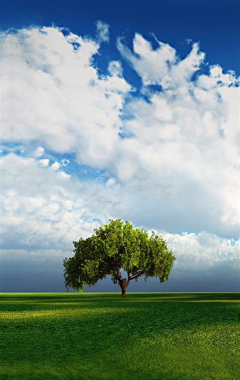 Wallpaper for Vertical Monitor - WallpaperSafari