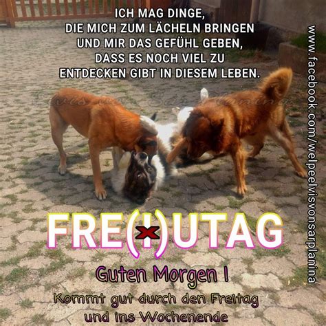 Du bist auf der suche nach witzigen sprüchen oder willst den besten spruch des tages im netz finden? Wir Haben Geheiratet Lustige Sprüche - Wir hatten damals ...