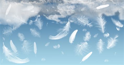 Angel Feathers 天使の羽 イラスト フレーム イラスト 天使のあーと