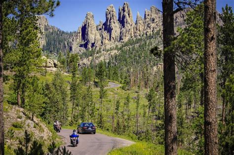 Custer State Park In The Black Hills Of South Dakota Just Named 2