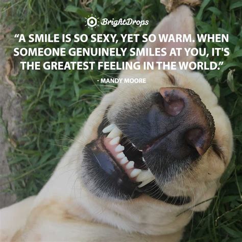 28 Smile Quotes On The Power Of Smiling Bright Drops