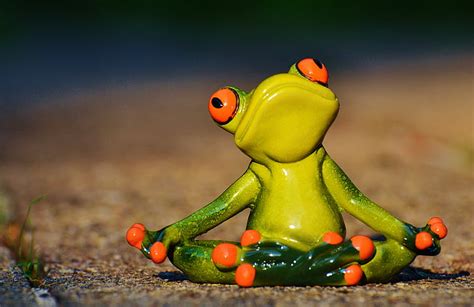 Royalty Free Photo Close Up Photography Of Meditating Frog Ceramic