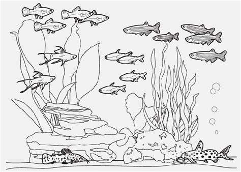 Fish Tank Sketch at PaintingValley.com | Explore collection of Fish