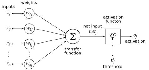 Everything You Need To Know About Artificial Neural Networks