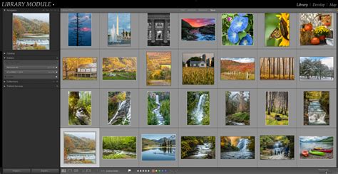 Lightroom Classic Library Module
