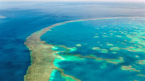 The Great Barrier Reef In Danger