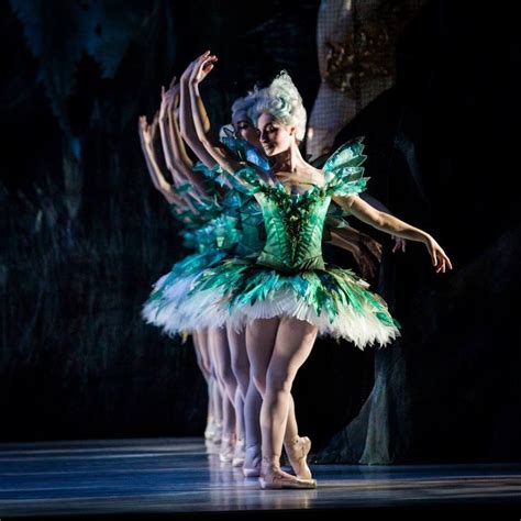 The Sleeping Beauty At The Australian Ballet 2015 Production By David