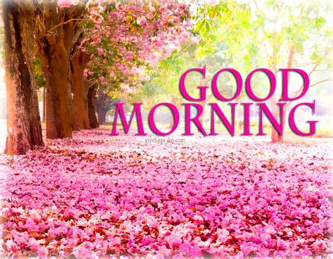Greeting Cards For Every Day Good Morning Best Pictures Animated
