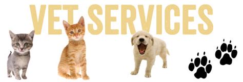 We serve as the administrative hub for all departmental activities, including teaching, research, and extension and outreach. Local Veterinary Clinics - Upper Peninsula Animal Welfare ...