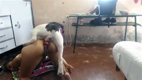 Sexy Depraved Babe Became A Bitch For A Horny Dog