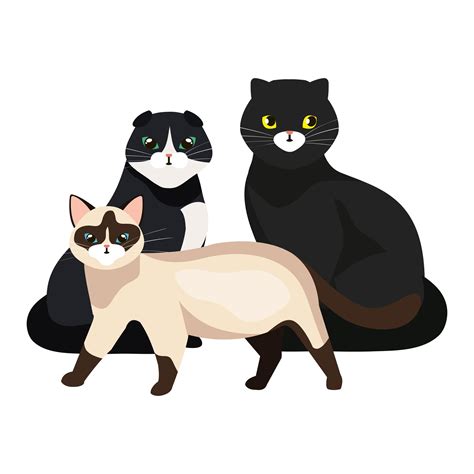 Group Of Cute Cats Isolated Icons 1905973 Vector Art At Vecteezy