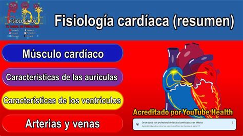 Corazón Anatomía Y Fisiología Fisiología Cardíaca Fisiología