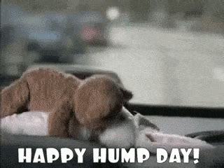 Hump Day Wednesday Gif