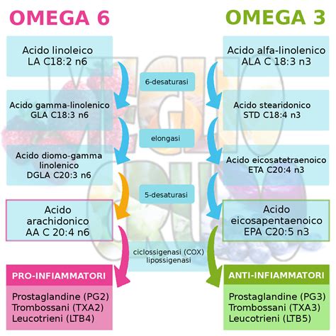 Integratore alimentare di omega 3 e 6 di bios line: Omega-3 e alimentazione a base vegetale antinfiammatoria ...