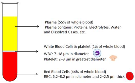 Bioengineering Free Full Text Blood Plasma Self Separation