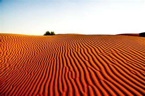 Arid And Desert Soil