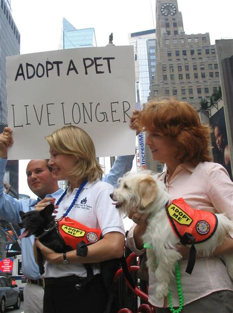 Profit from trades using our values! Adopt a Pet, Live Longer! | As the United States tumbles ...
