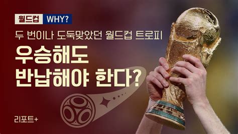이xx야, 거리 두란 말이야!…욕설하고 박수받은 톰 크루즈 (연합뉴스 2020.12.17) 일상도 영웅 같은 톰 크루즈…<미션7> 촬영 중 카메라맨 구했다 (매일경제 2021.04.30) 위기의 골든글로브…톰 크루즈도 트로피 3개 반납, 보이콧 합류(머니투데이 2021.05.11) 예정대로라면 이미 공개됐어야 하는 <탑건. 리포트+ 두 번이나 도둑맞았던 월드컵 트로피…우승해도 ...