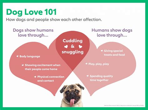 The Anatomy of Dog Love: New Research Shows that Dogs Are Changing