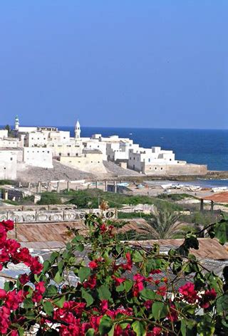 The coastal city of mogadishu is somalia's largest city and also the seat of the national government. Lets Talk African History: Somalis. An underrated history ...