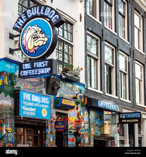 Bulldog Coffeeshop Amsterdam Hi Res Stock Photography And Images Alamy
