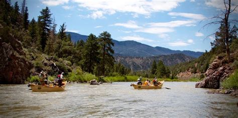 Colorado River Late Summer Fishing Report | Hopper Season on the Right