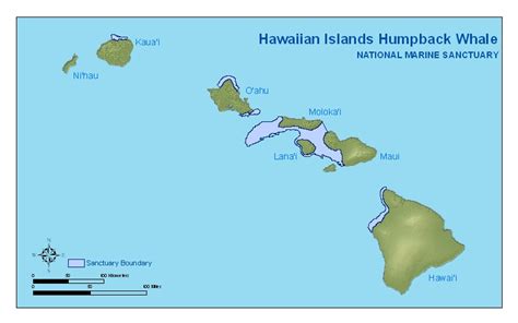 Maps Hawaiian Islands Humpback Whale National Marine Sanctuaries