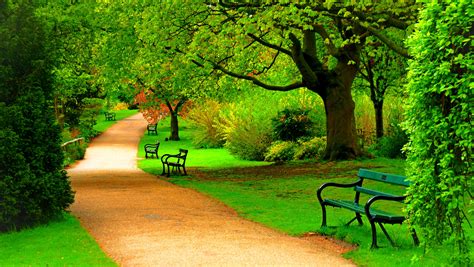 Hd Nature Wallpapers-hd - Park Hd Background - 4911x2767 - Download HD