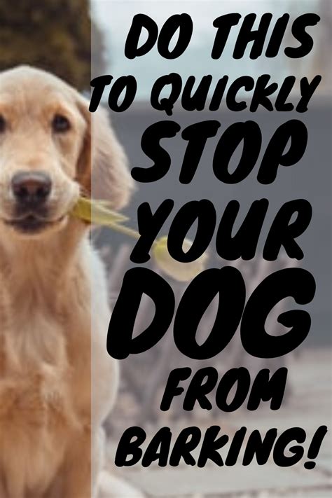 How To Make Your Dog Stop Barking Dog Rules Dog Hacks Getting A Puppy