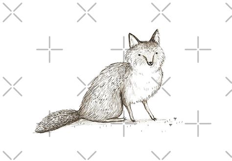 Swift Fox Sketch Art Prints By Sophie Corrigan Redbubble