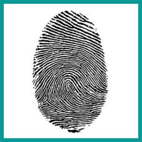 What Is A Fingerprint Lets Get To The Bottom Of It