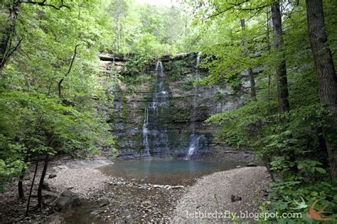 The Buffalo National River Let Birds Fly River Amazing Adventures