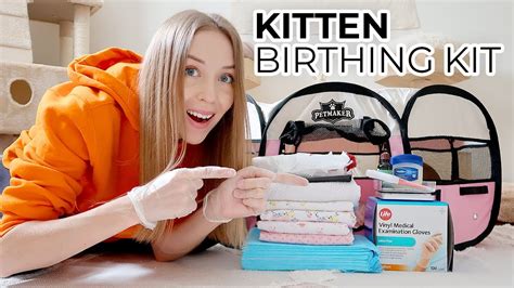 How To Prepare For Cat Birth A Home Birthing Kit To Help Deliver