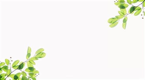 Bewertungen über green living inn, bayern, telefonnummern, adressen, stunden. Studentenwohnheime & Hostel - Green Living Inn