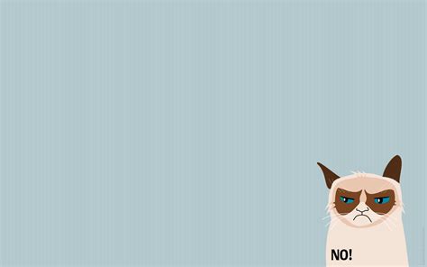 45 Grumpy Cat Iphone Wallpaper On Wallpapersafari