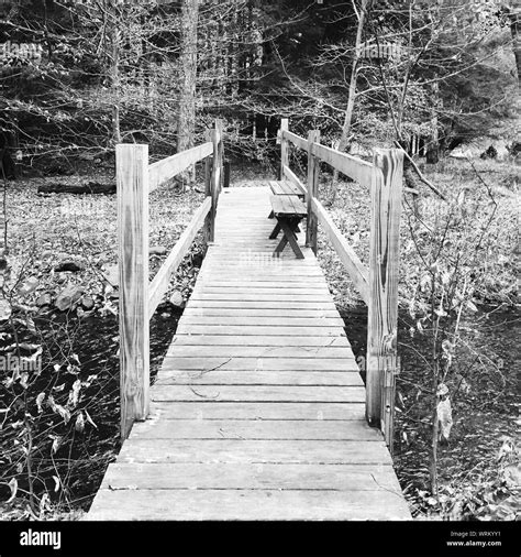 Wooden Footbridge Over Stream Stock Photo Alamy