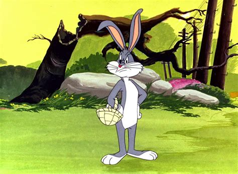 Looney Tunes Pictures Robert Mckimson Classic Cartoon Characters