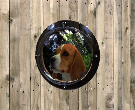 Pet Fence Dome Peek Bubble Window For Dogs For Dogs See Outside