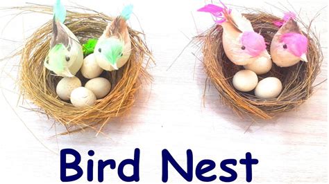 How To Make A Bird Nest L Easy Diy Projects Youtube